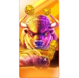 Buffalo
King